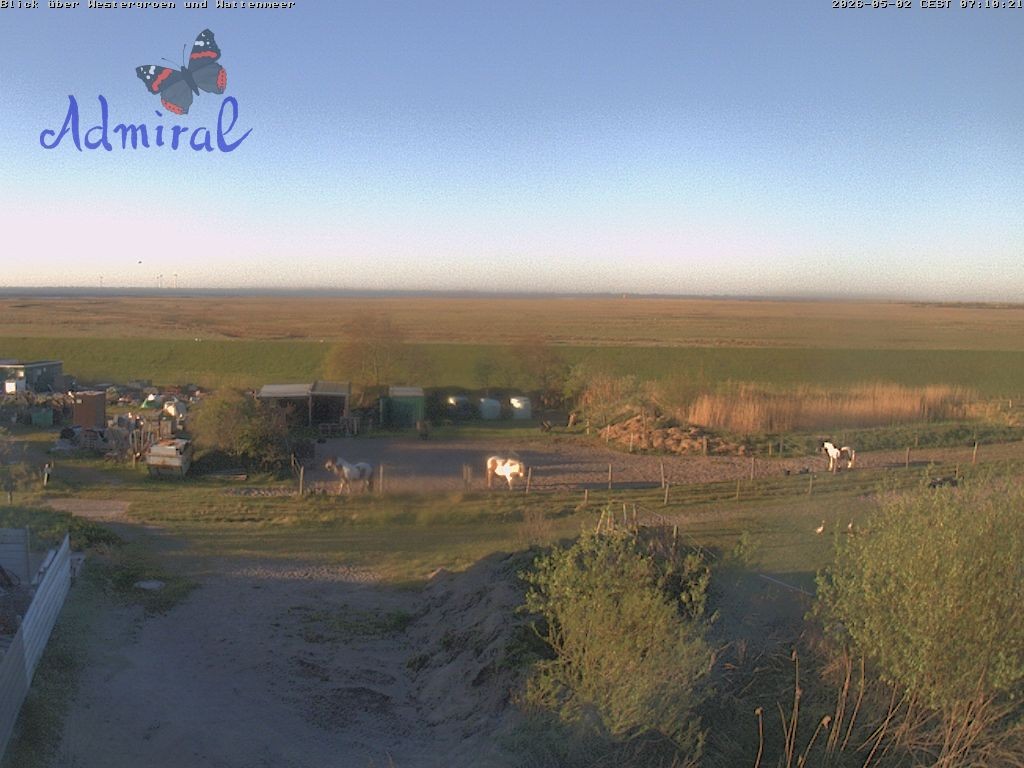 Archiv Foto Webcam Spiekeroog: Haus Admiral