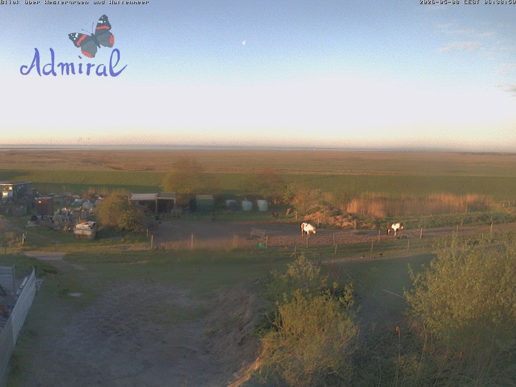 Archiv Foto Webcam Spiekeroog: Haus Admiral