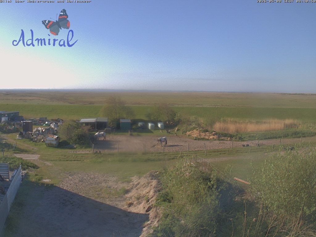 Archiv Foto Webcam Spiekeroog: Haus Admiral