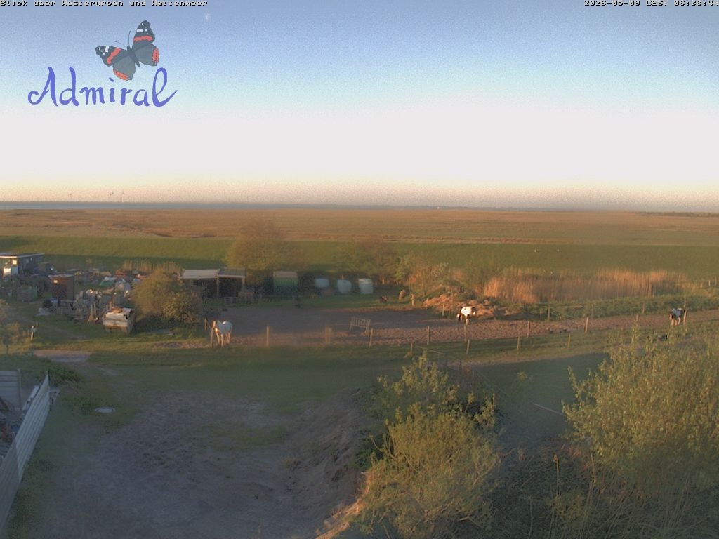 Archiv Foto Webcam Spiekeroog: Haus Admiral