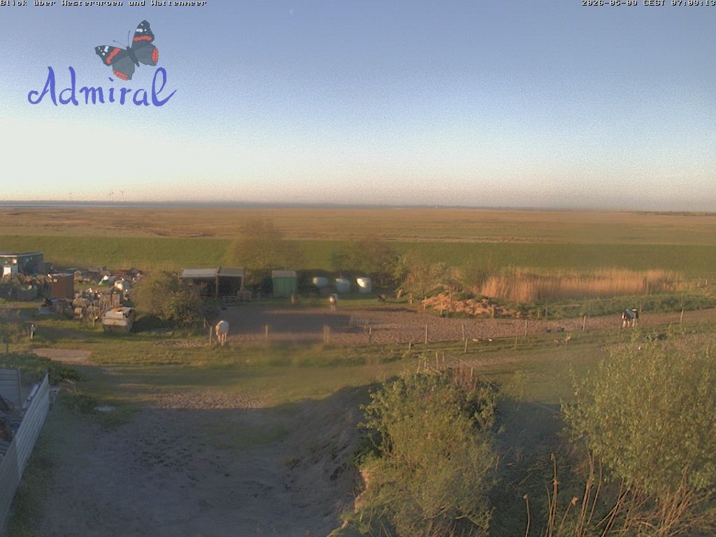 Archiv Foto Webcam Spiekeroog: Haus Admiral