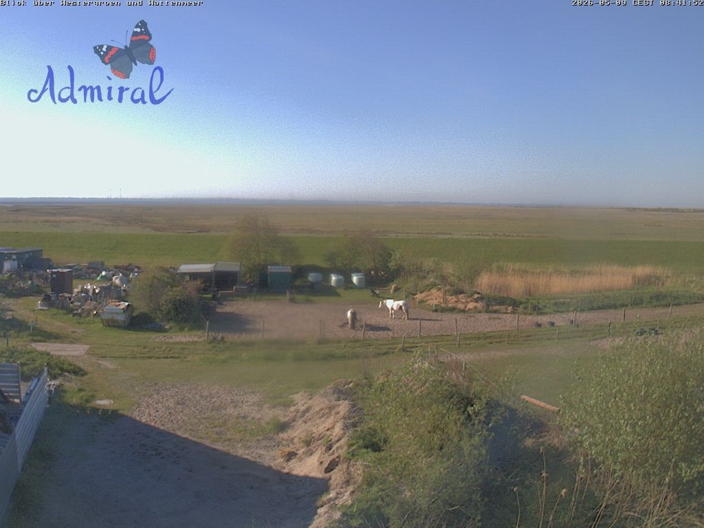 Archiv Foto Webcam Spiekeroog: Haus Admiral