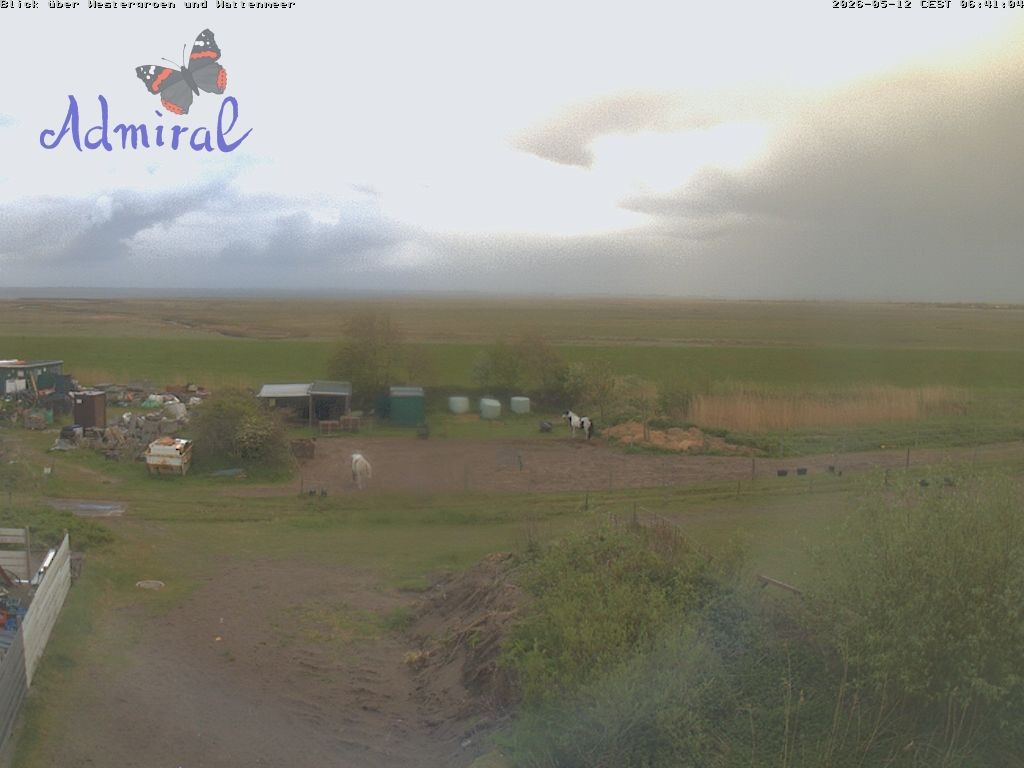Archiv Foto Webcam Spiekeroog: Haus Admiral