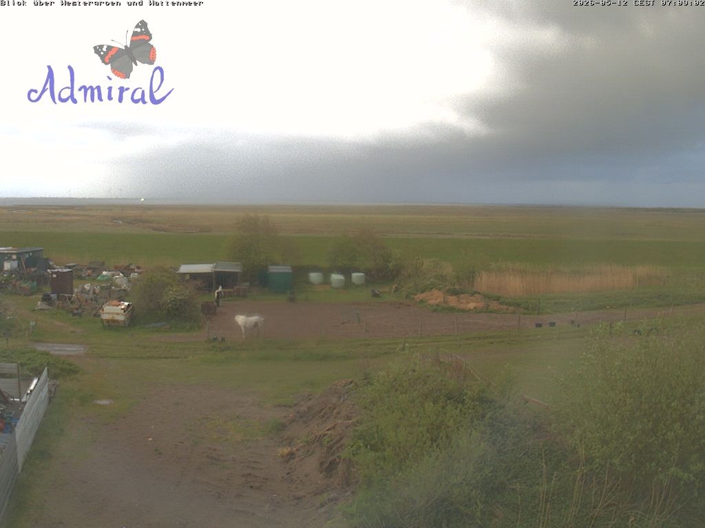 Archiv Foto Webcam Spiekeroog: Haus Admiral