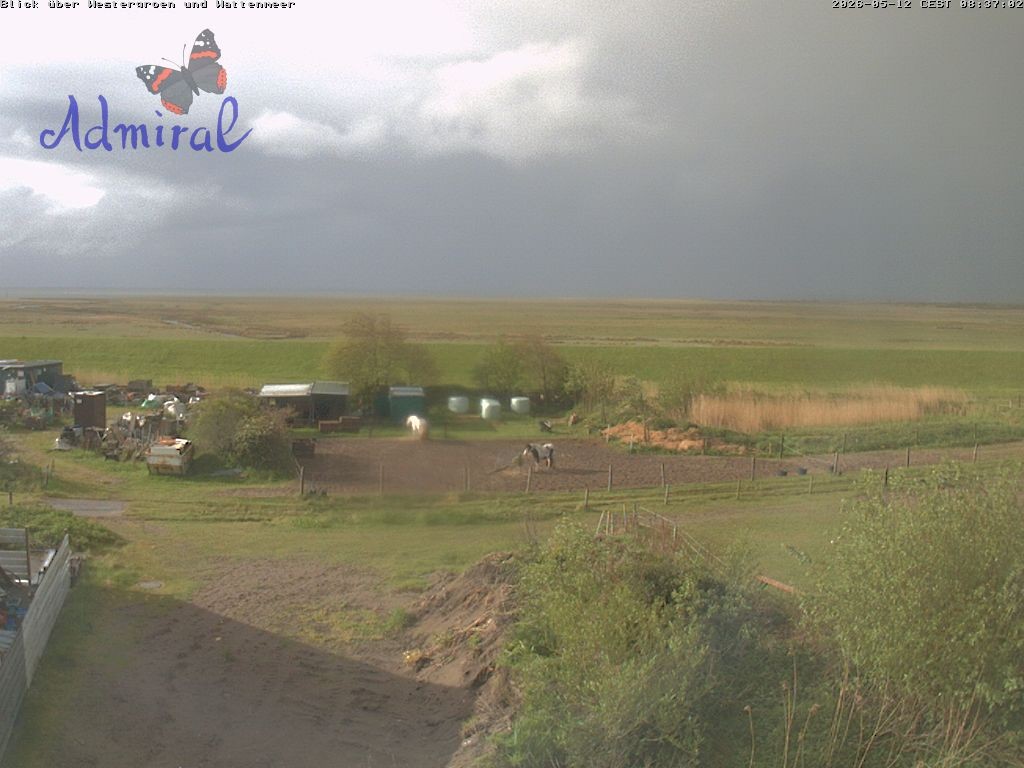 Archiv Foto Webcam Spiekeroog: Haus Admiral