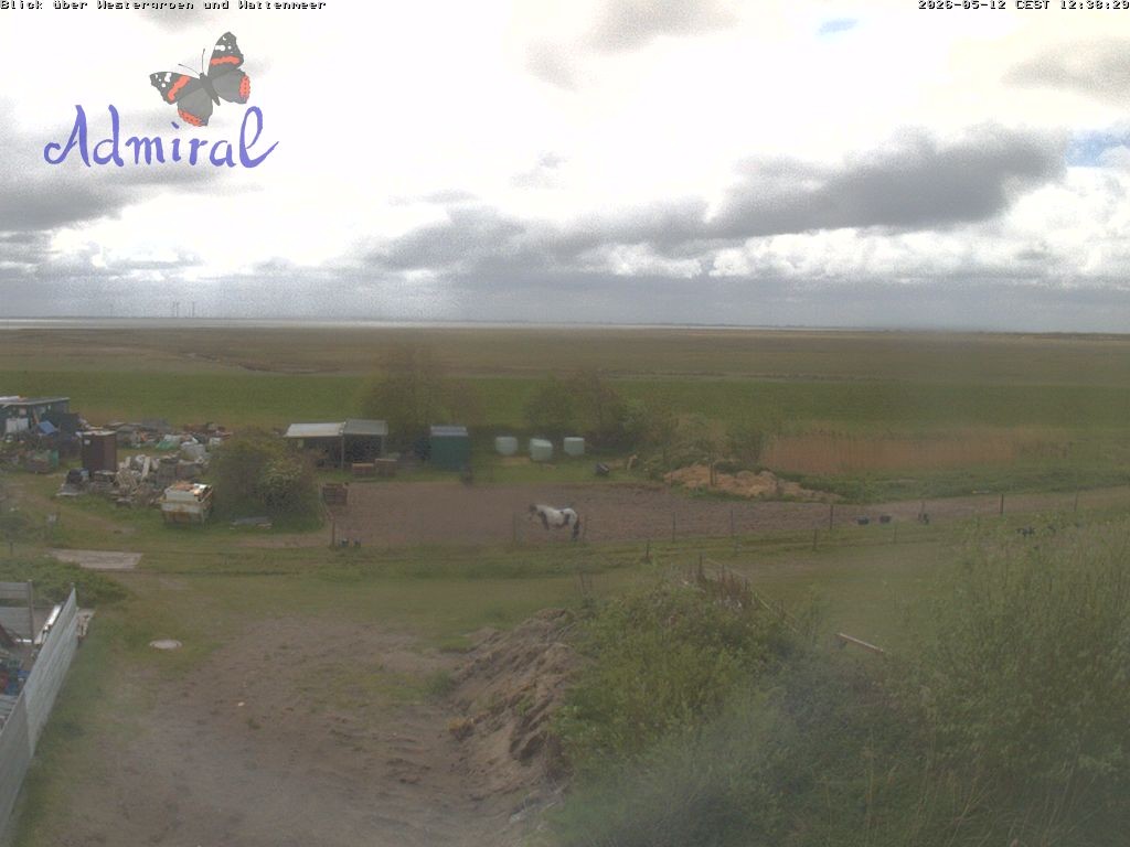 Archiv Foto Webcam Spiekeroog: Haus Admiral