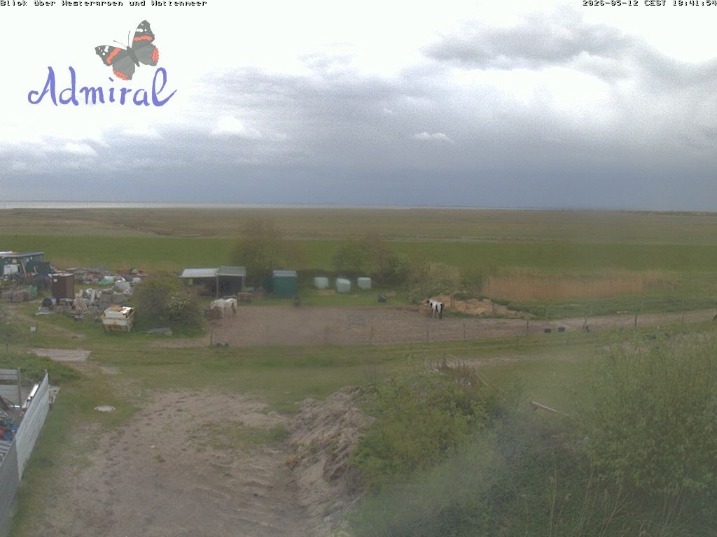 Archiv Foto Webcam Spiekeroog: Haus Admiral