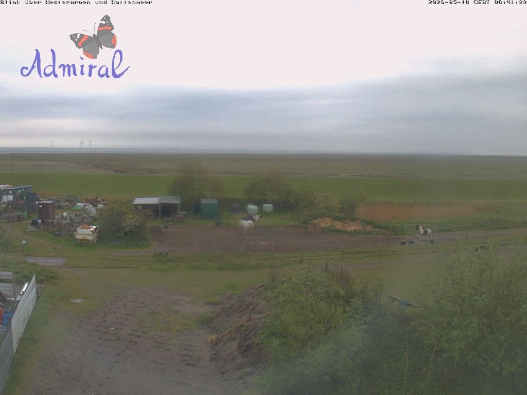 Archiv Foto Webcam Spiekeroog: Haus Admiral