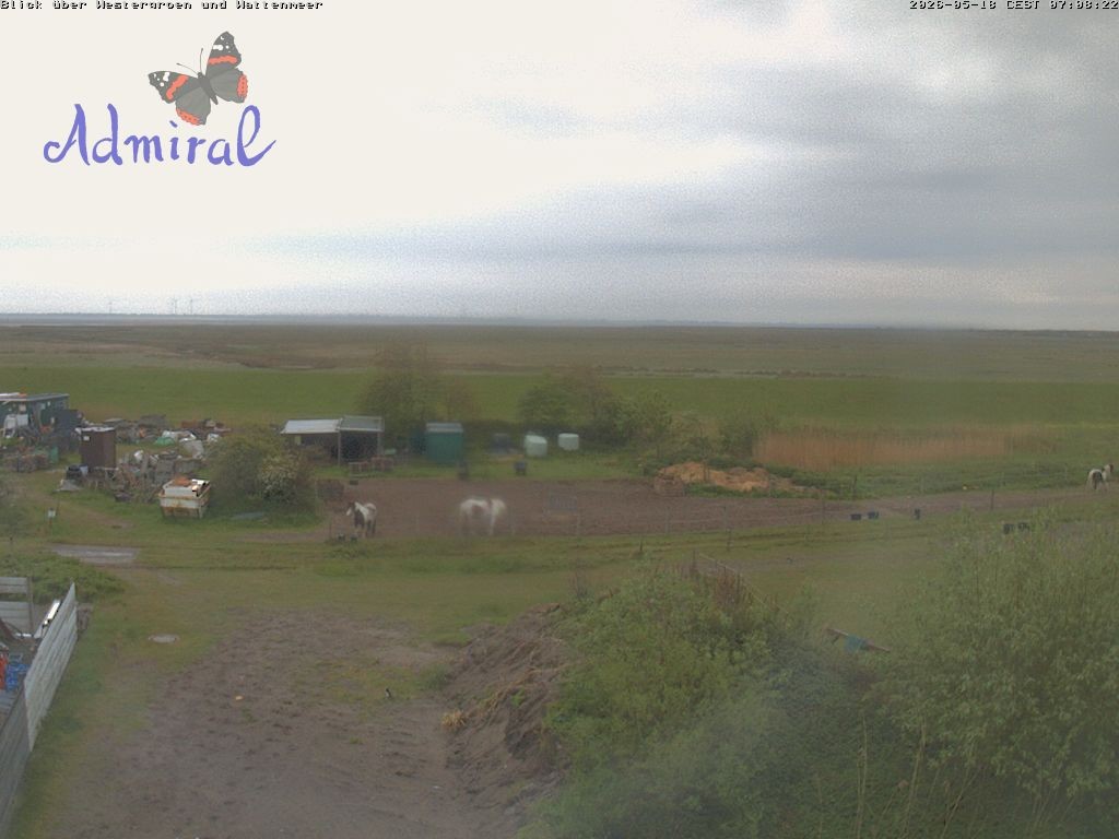 Archiv Foto Webcam Spiekeroog: Haus Admiral