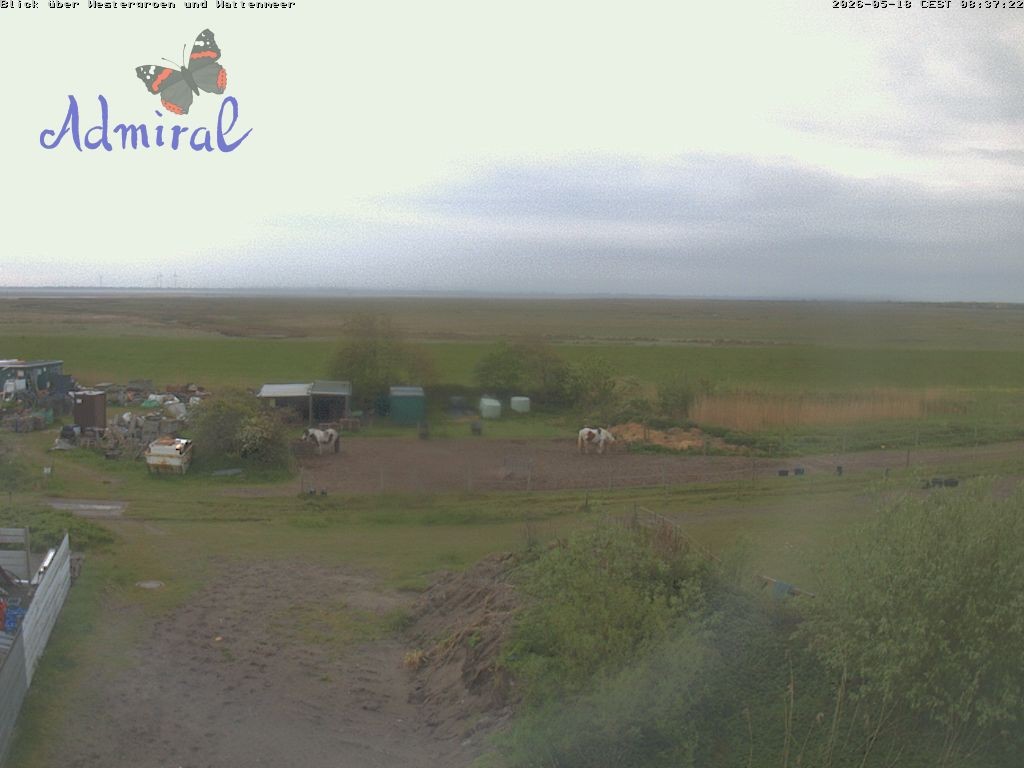 Archiv Foto Webcam Spiekeroog: Haus Admiral