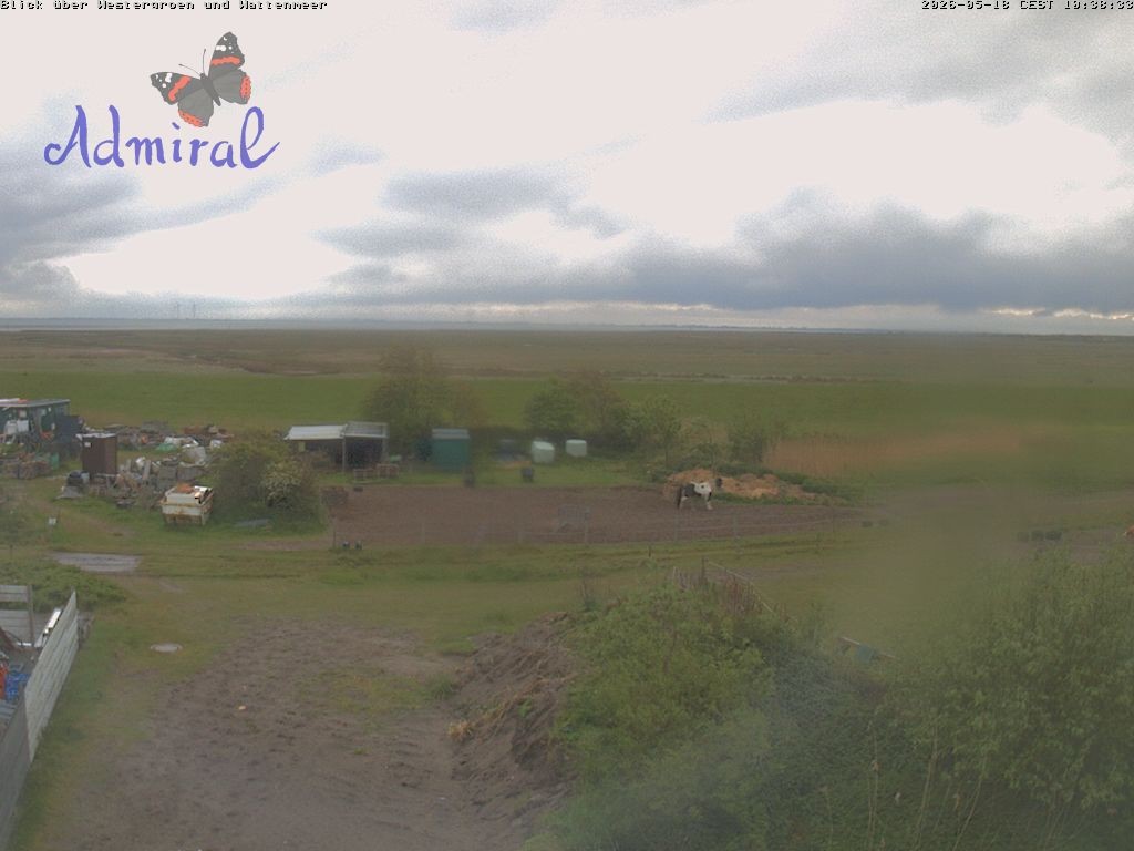 Archiv Foto Webcam Spiekeroog: Haus Admiral