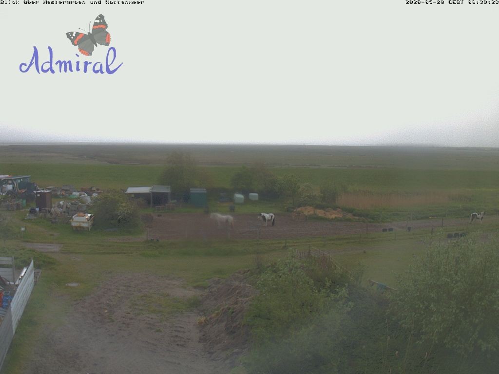 Archiv Foto Webcam Spiekeroog: Haus Admiral