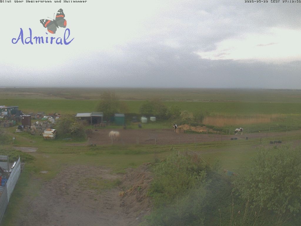 Archiv Foto Webcam Spiekeroog: Haus Admiral