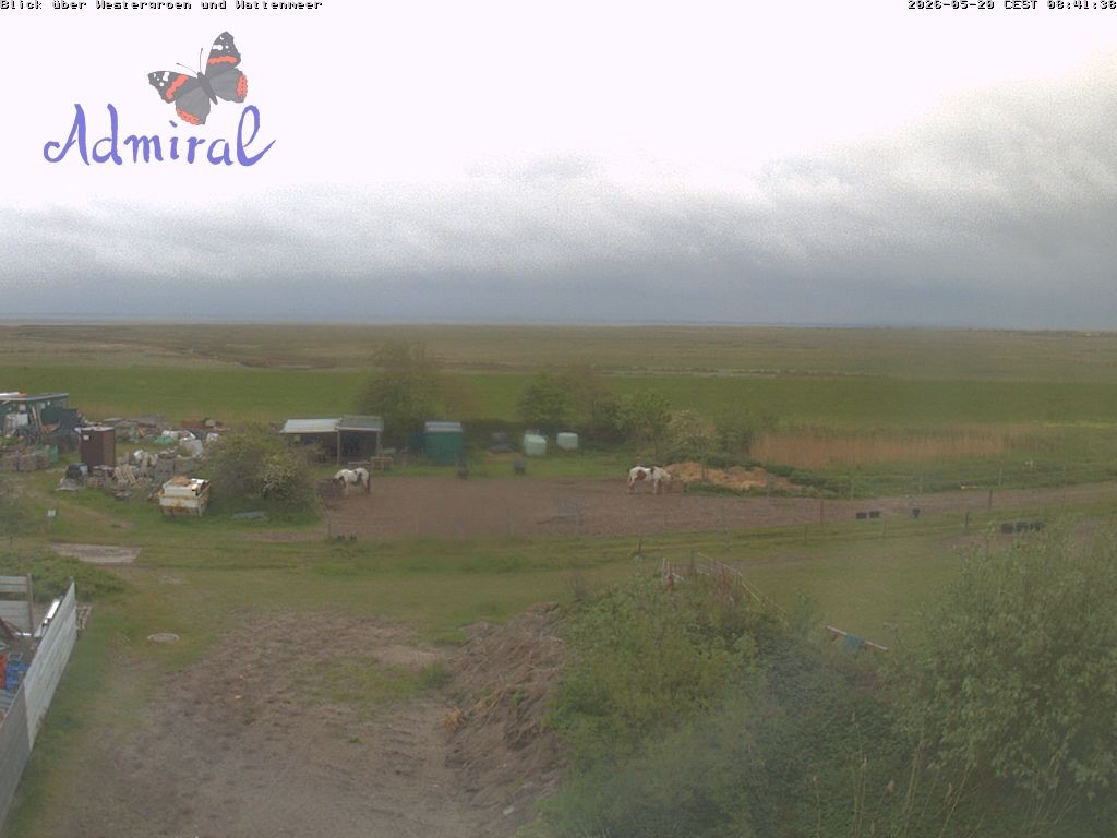 Archiv Foto Webcam Spiekeroog: Haus Admiral