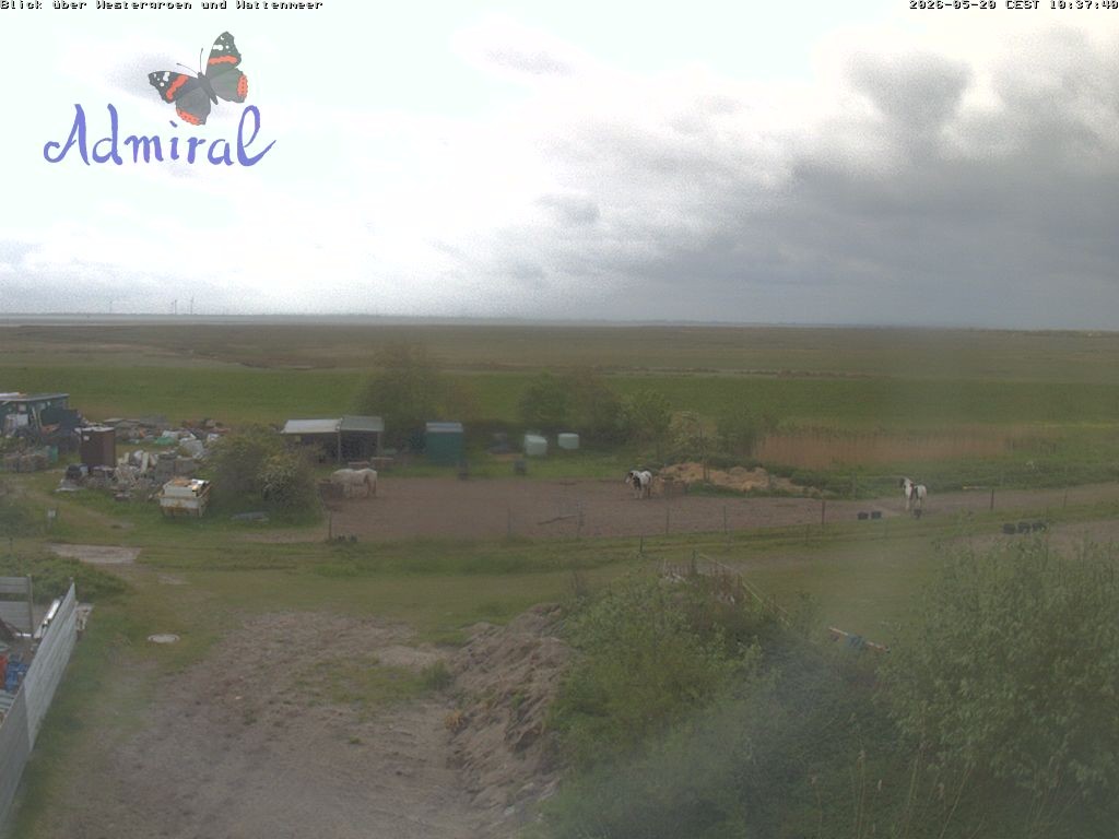 Archiv Foto Webcam Spiekeroog: Haus Admiral