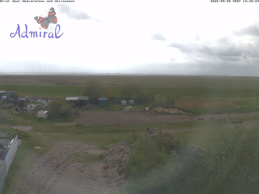 Archiv Foto Webcam Spiekeroog: Haus Admiral