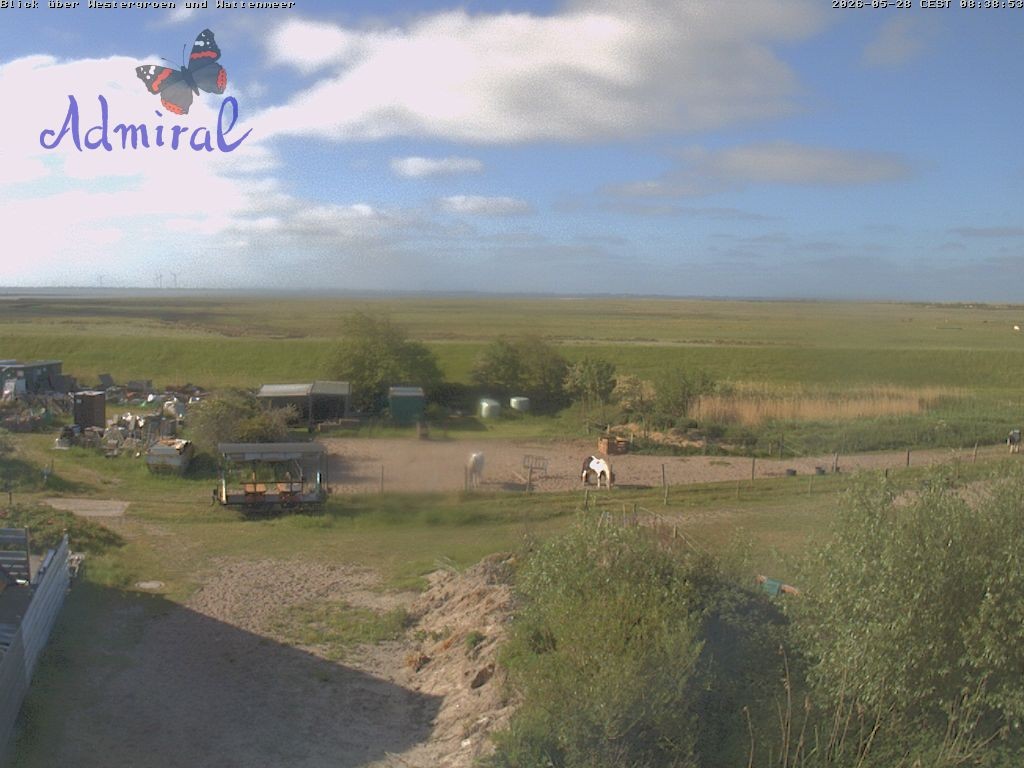 Archiv Foto Webcam Spiekeroog: Haus Admiral