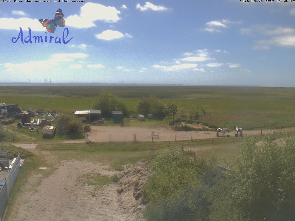 Archiv Foto Webcam Spiekeroog: Haus Admiral