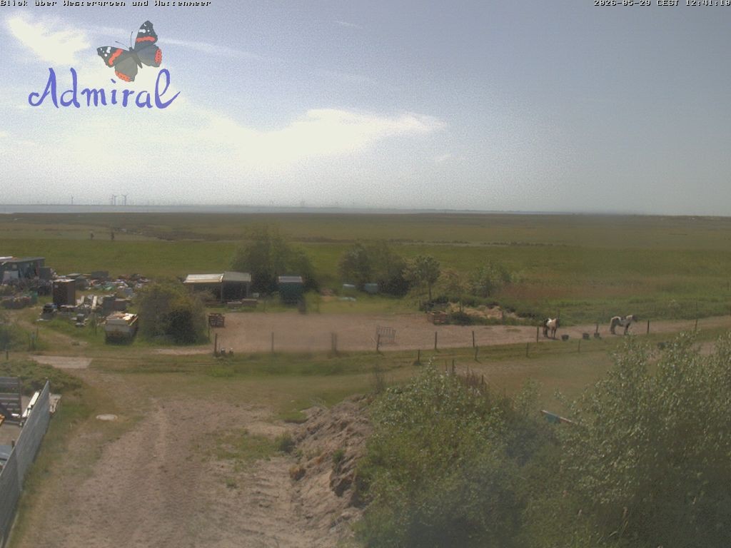Archiv Foto Webcam Spiekeroog: Haus Admiral