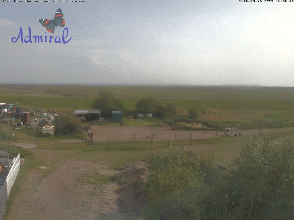 Archiv Foto Webcam Spiekeroog: Haus Admiral