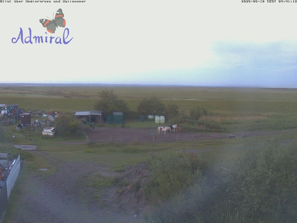 Archiv Foto Webcam Spiekeroog: Haus Admiral