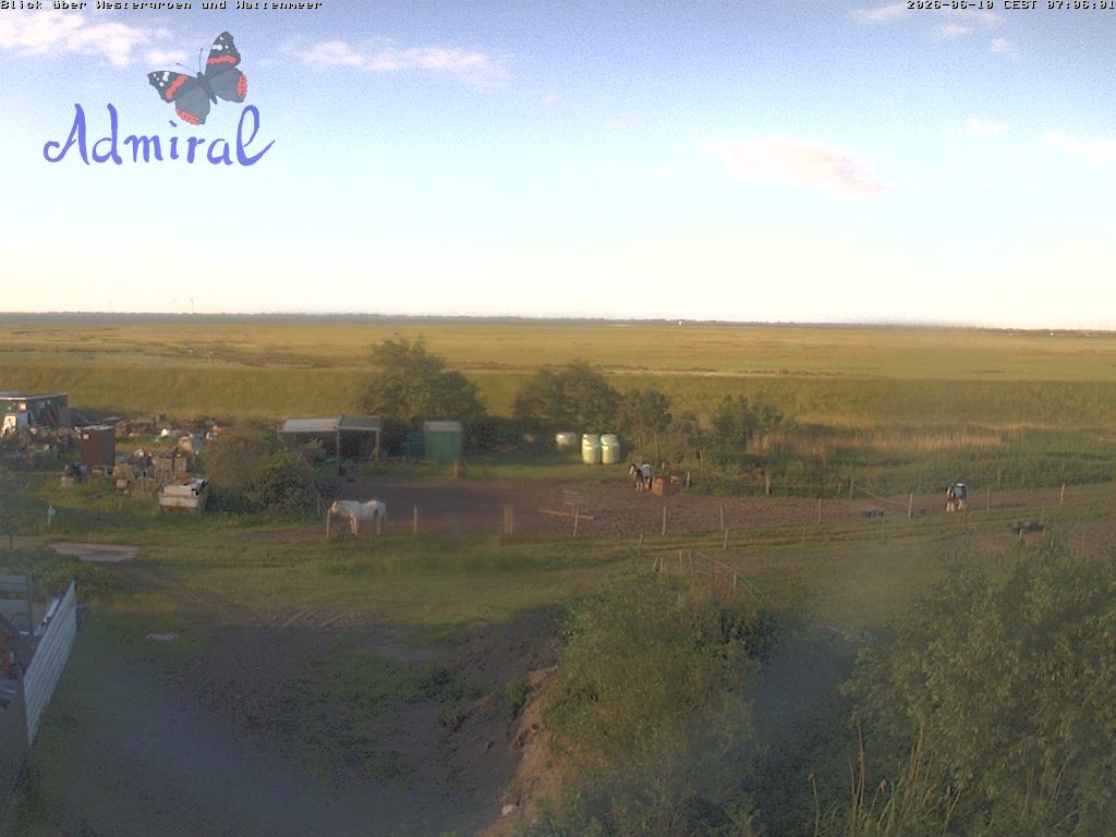 Archiv Foto Webcam Spiekeroog: Haus Admiral
