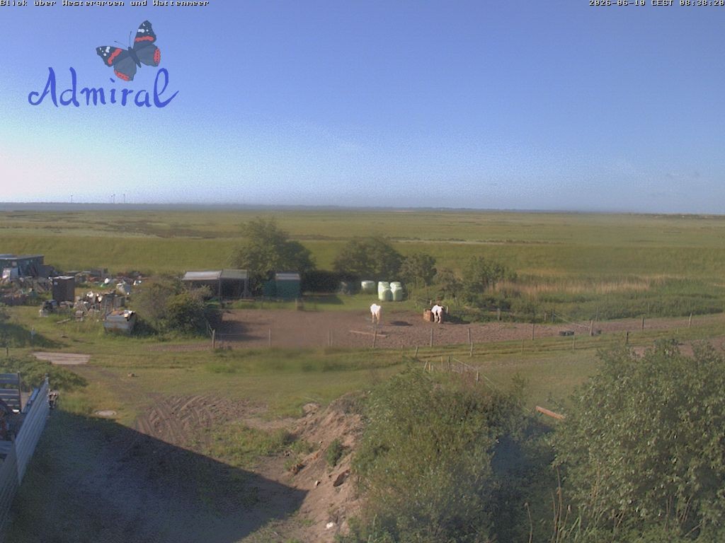 Archiv Foto Webcam Spiekeroog: Haus Admiral