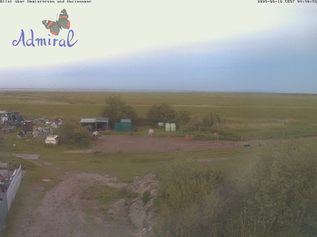 Archiv Foto Webcam Spiekeroog: Haus Admiral