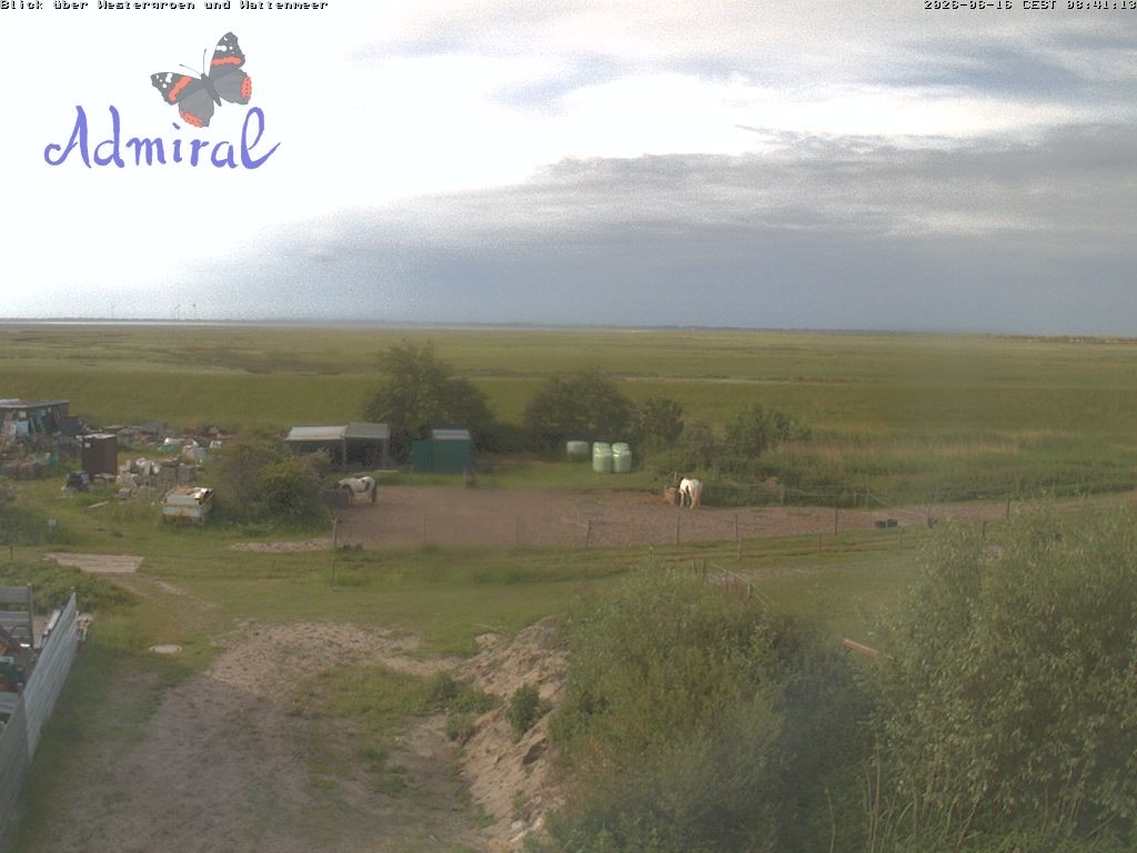 Archiv Foto Webcam Spiekeroog: Haus Admiral