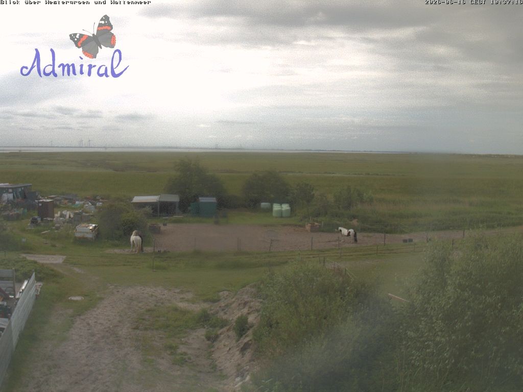 Archiv Foto Webcam Spiekeroog: Haus Admiral
