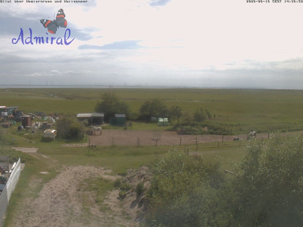 Archiv Foto Webcam Spiekeroog: Haus Admiral