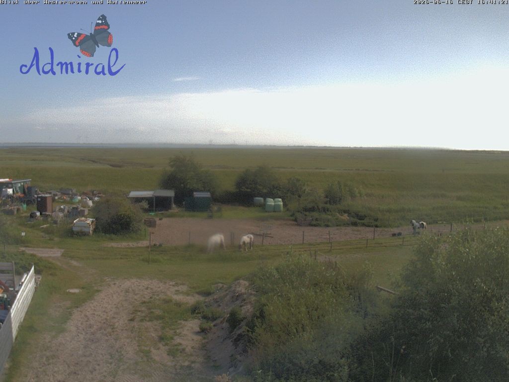 Archiv Foto Webcam Spiekeroog: Haus Admiral