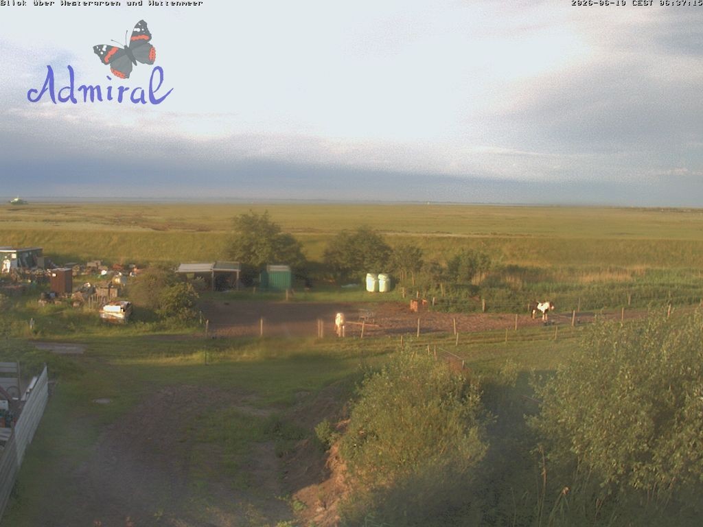 Archiv Foto Webcam Spiekeroog: Haus Admiral