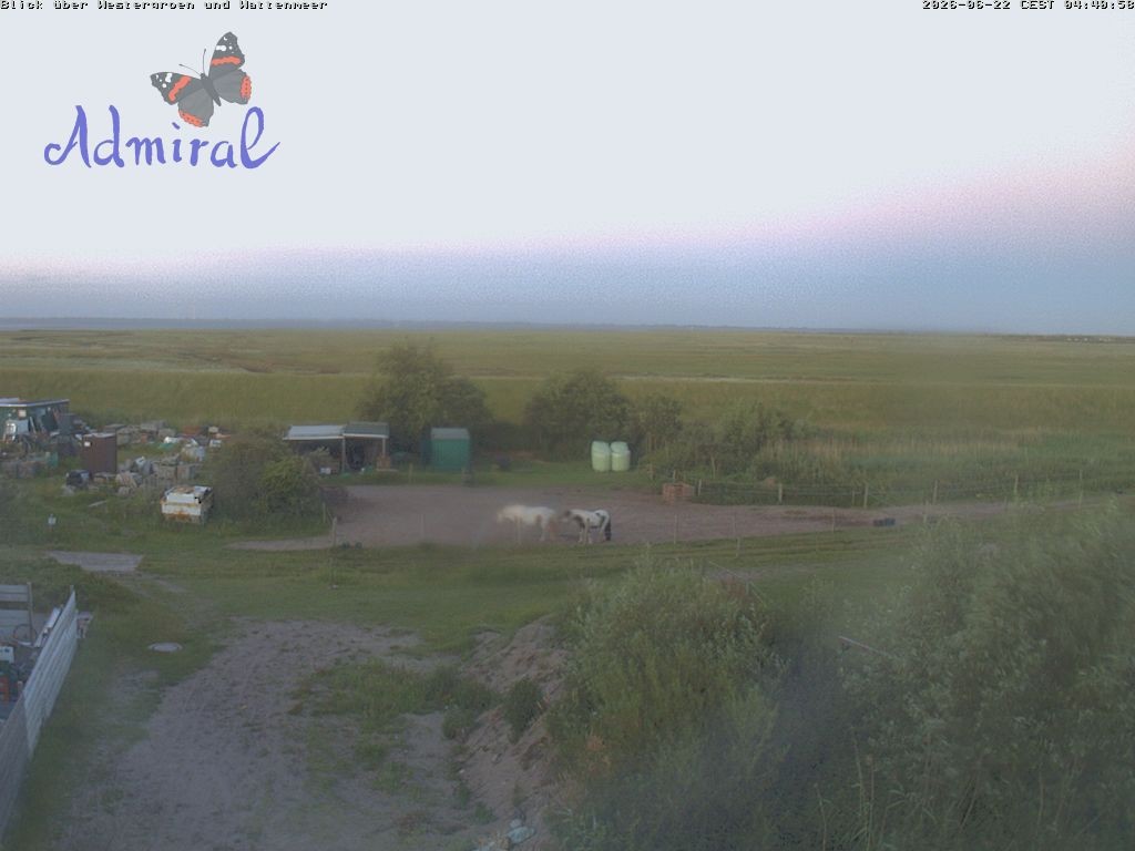Archiv Foto Webcam Spiekeroog: Haus Admiral