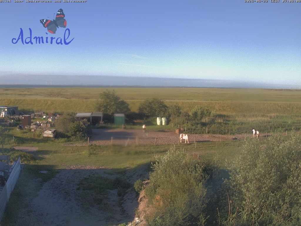 Archiv Foto Webcam Spiekeroog: Haus Admiral