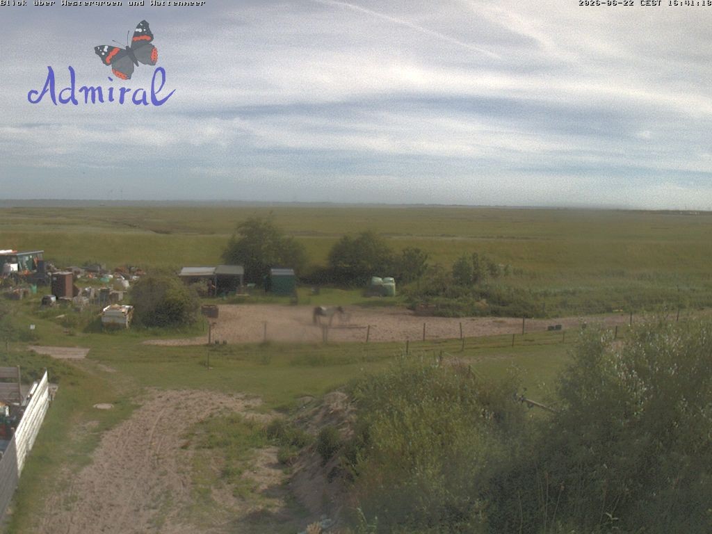 Archiv Foto Webcam Spiekeroog: Haus Admiral