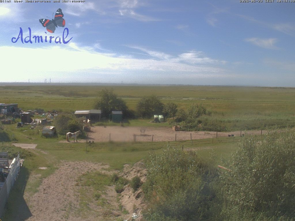 Archiv Foto Webcam Spiekeroog: Haus Admiral