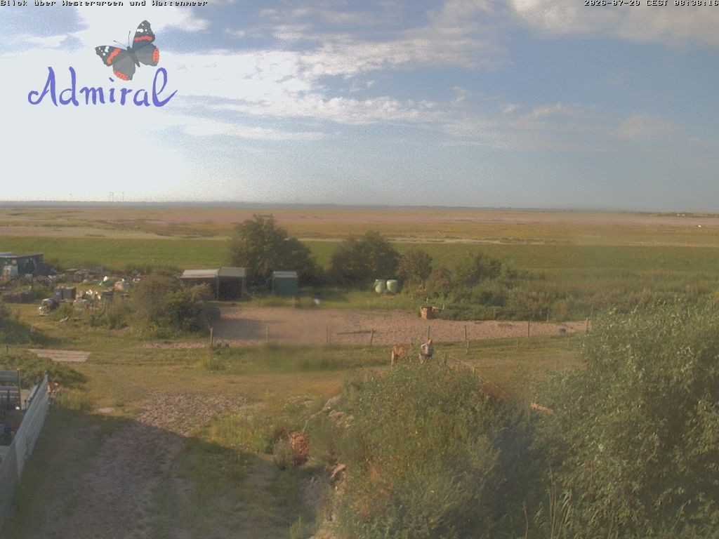 Archiv Foto Webcam Spiekeroog: Haus Admiral