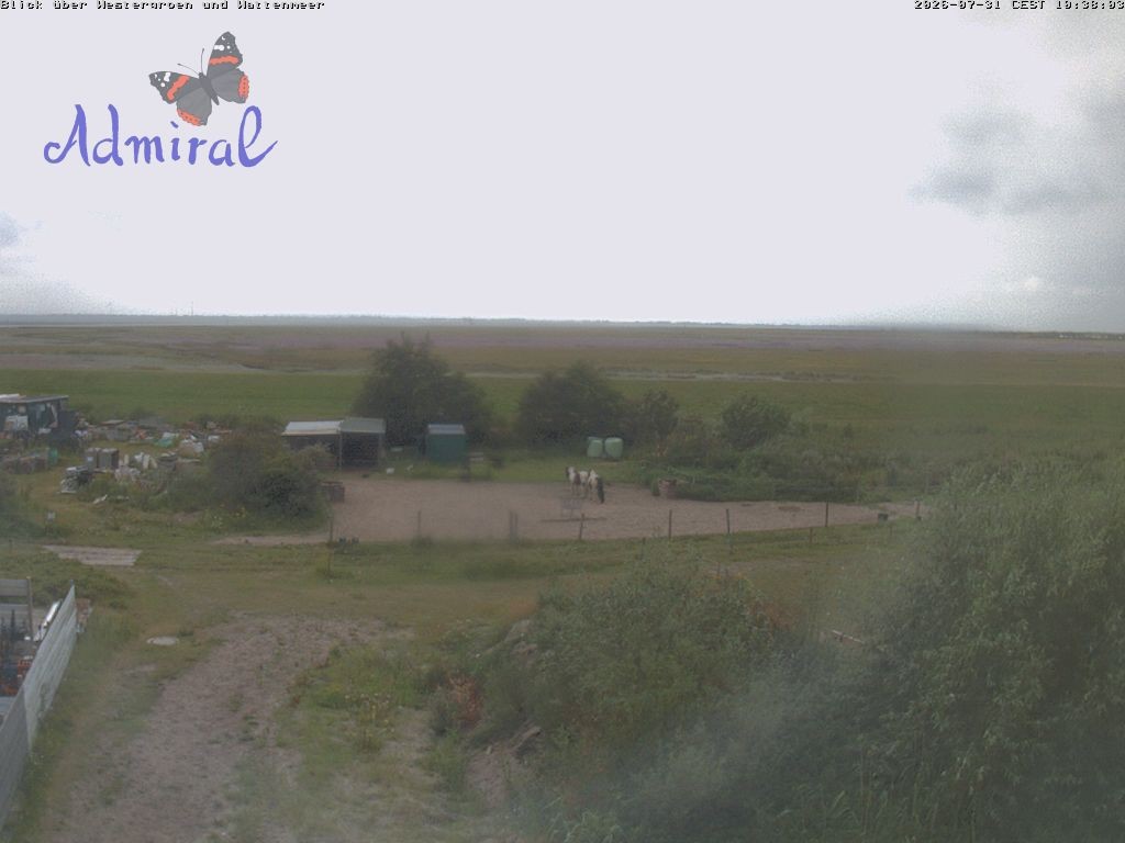 Archiv Foto Webcam Spiekeroog: Haus Admiral