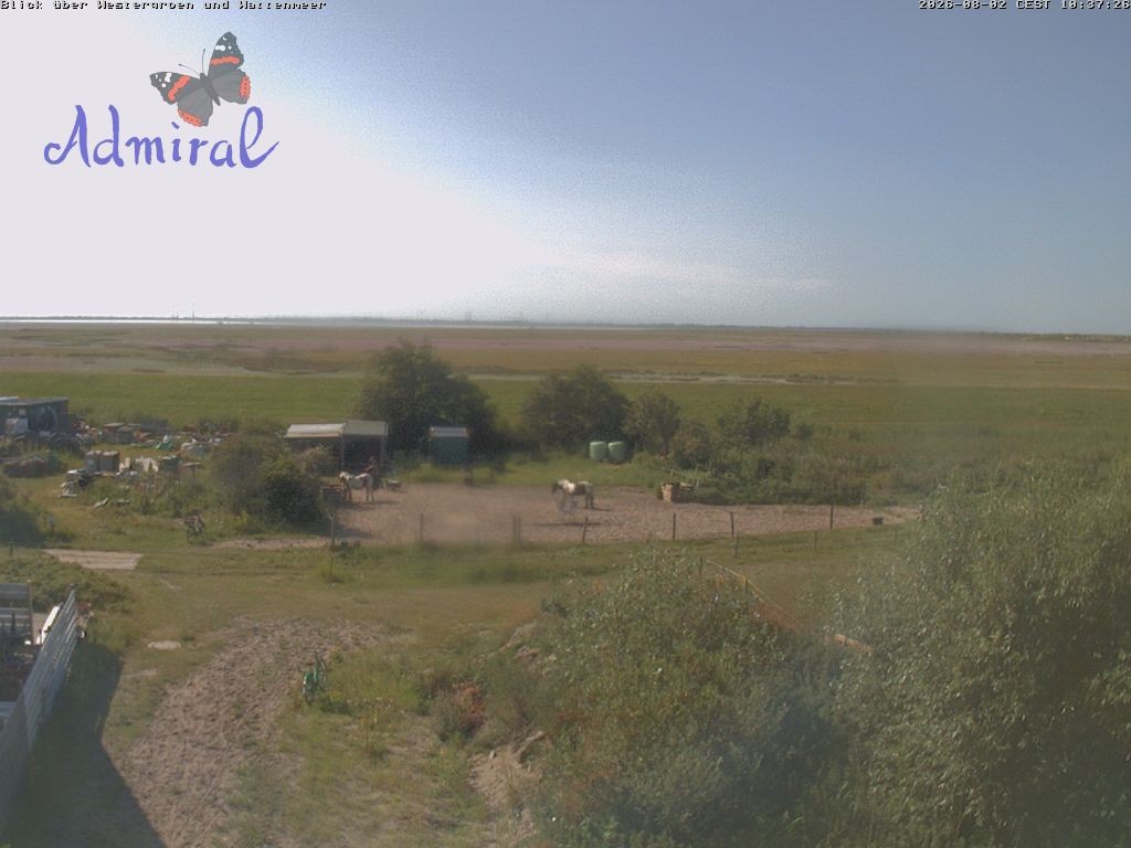 Archiv Foto Webcam Spiekeroog: Haus Admiral