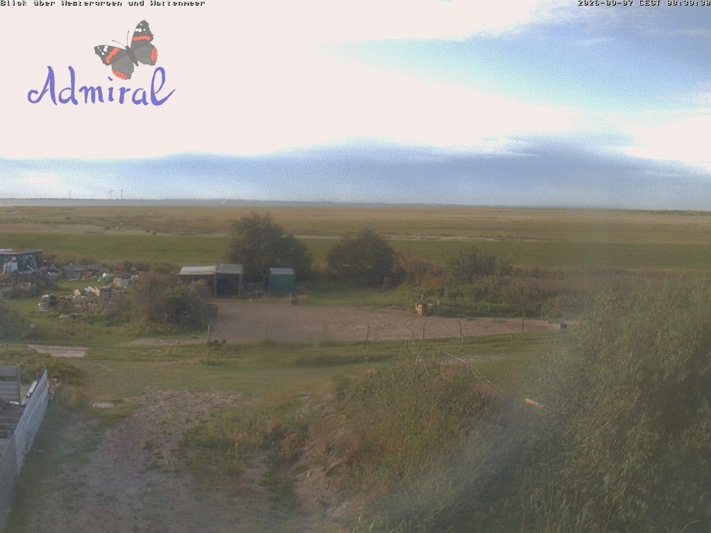 Archiv Foto Webcam Spiekeroog: Haus Admiral