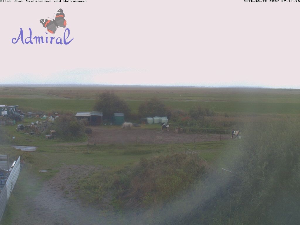 Archiv Foto Webcam Spiekeroog: Haus Admiral