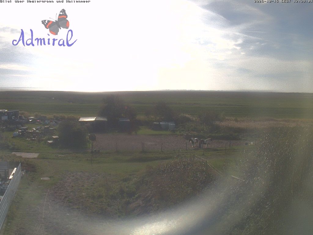Archiv Foto Webcam Spiekeroog: Haus Admiral
