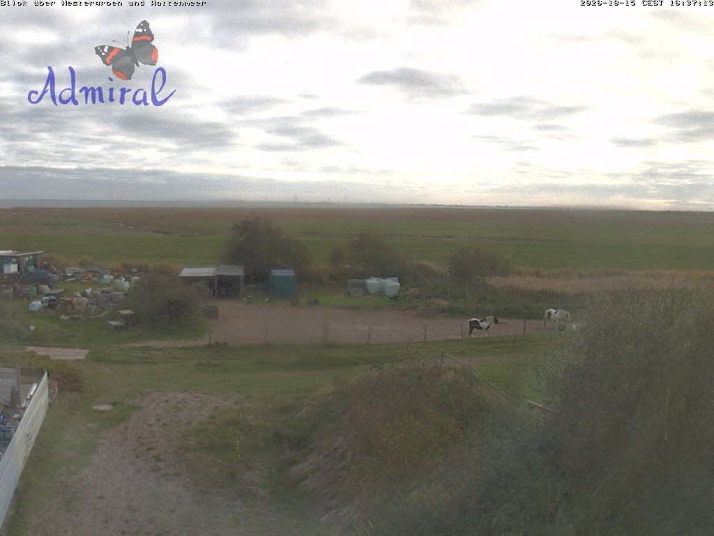 Archiv Foto Webcam Spiekeroog: Haus Admiral
