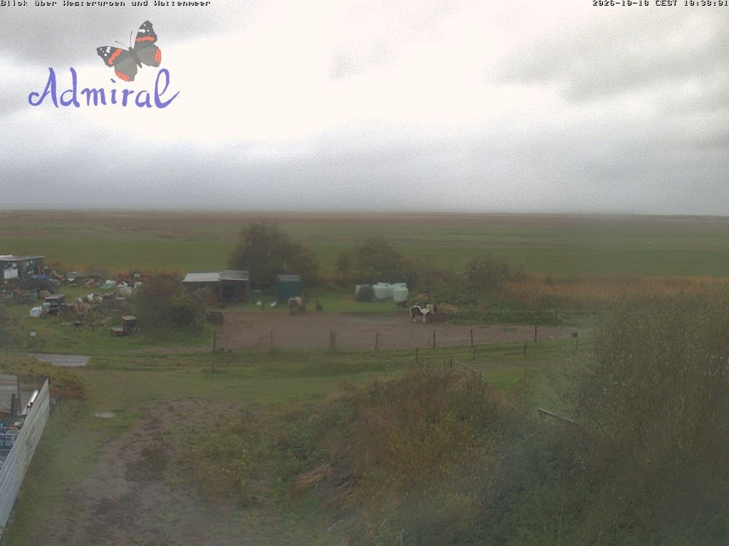 Archiv Foto Webcam Spiekeroog: Haus Admiral