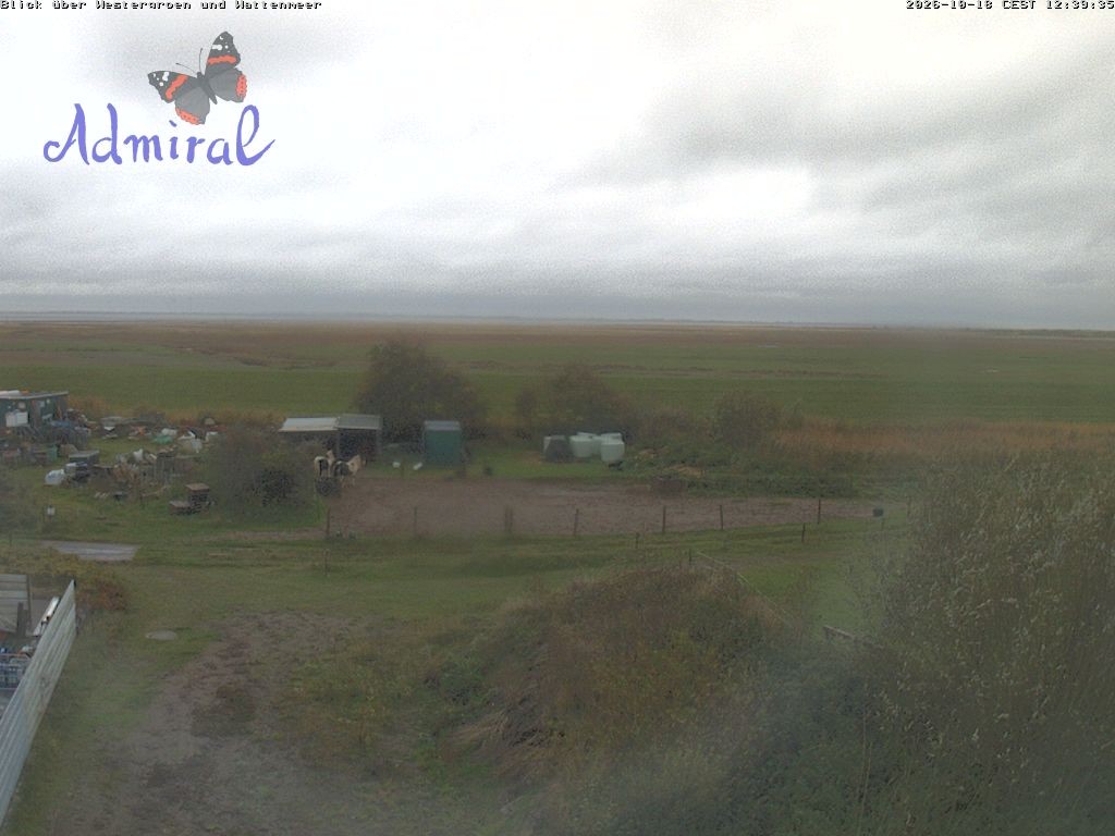 Archiv Foto Webcam Spiekeroog: Haus Admiral