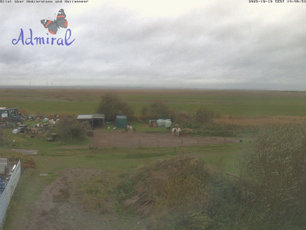 Archiv Foto Webcam Spiekeroog: Haus Admiral