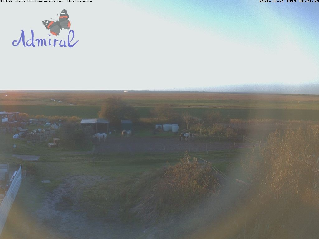 Archiv Foto Webcam Spiekeroog: Haus Admiral