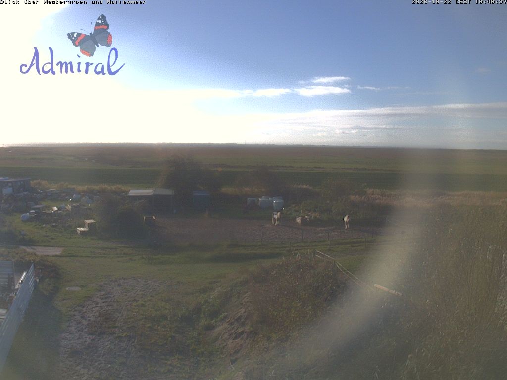 Archiv Foto Webcam Spiekeroog: Haus Admiral