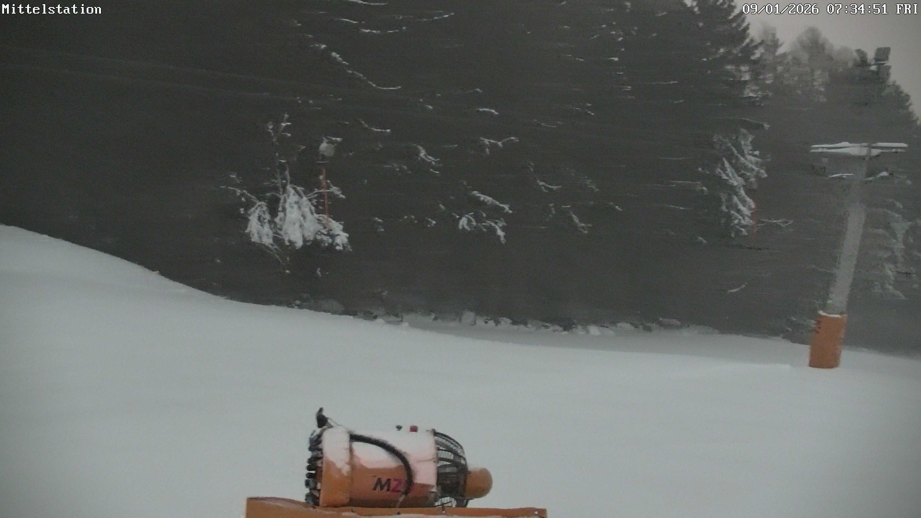 Archiv Foto Webcam Lössnitz: Skilift Mittelstation